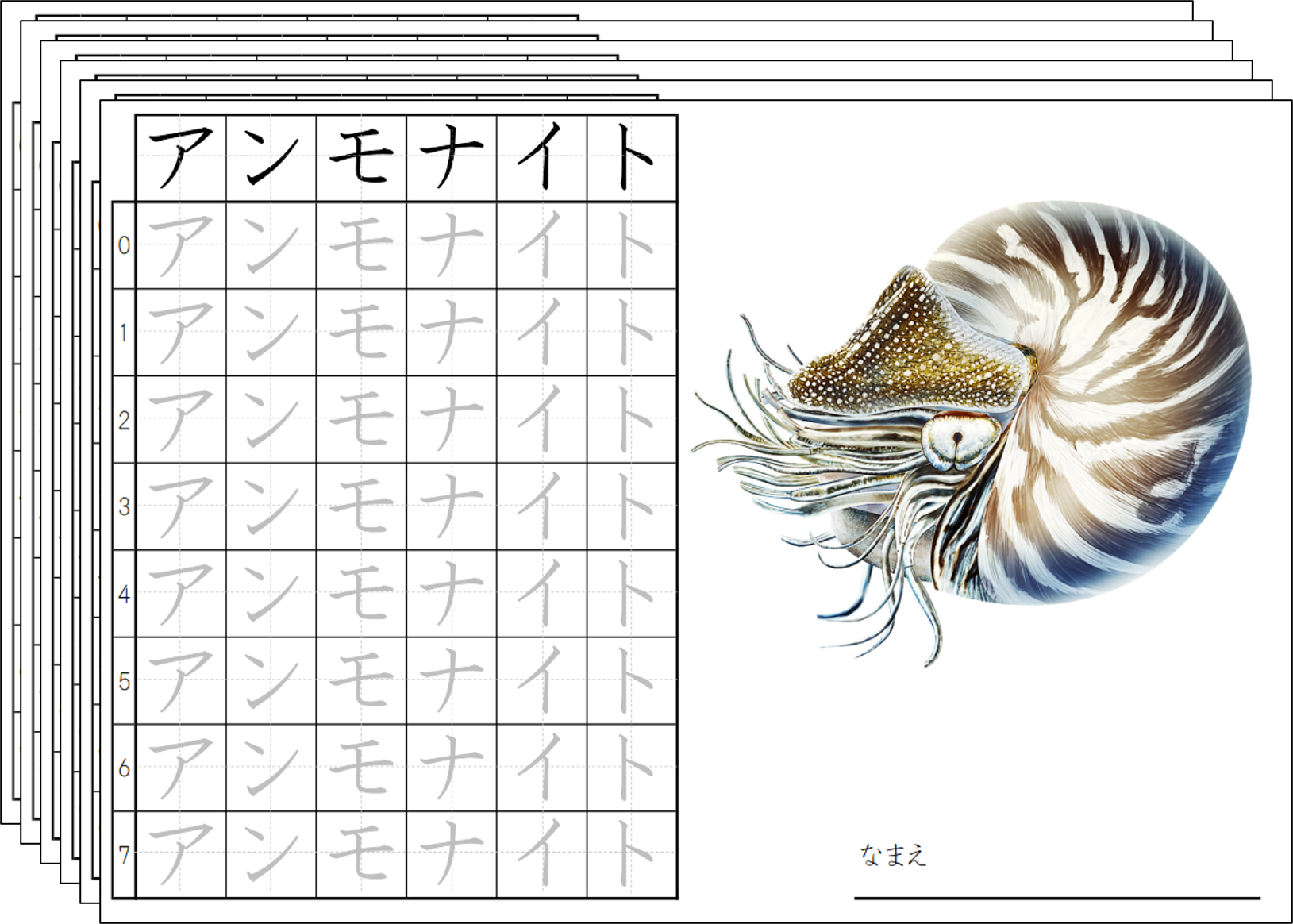 カタカナ 初級 なぞって練習 こどもおとな Net